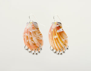 Scallop Earrings